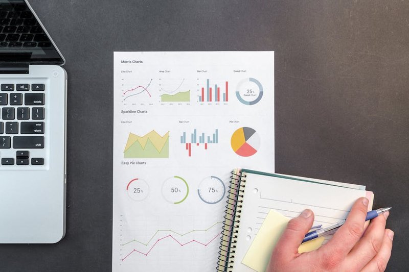SEO Platform with business dashboard analytics